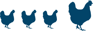 chicken-blue